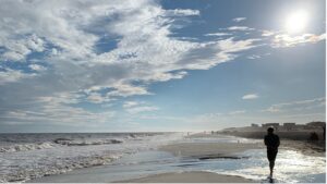 A peaceful beach with a blue sky